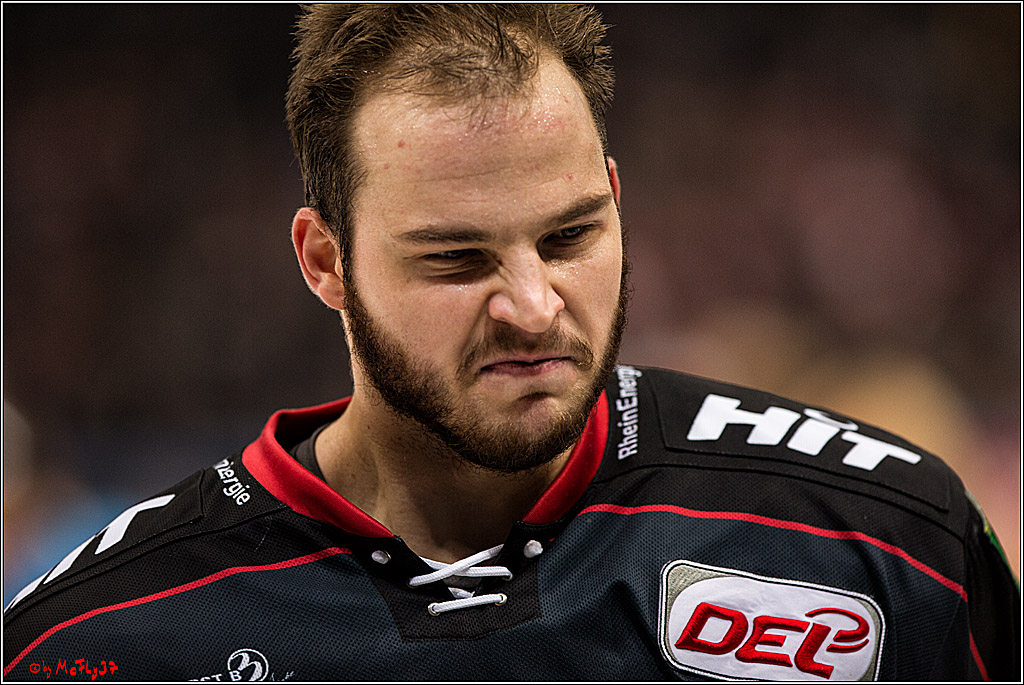 Koelner Haie - Eisbaeren Berlin, 13.11.2016